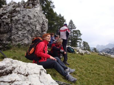 Kliknite za ogled večje slike