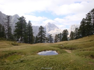 Kliknite za ogled večje slike