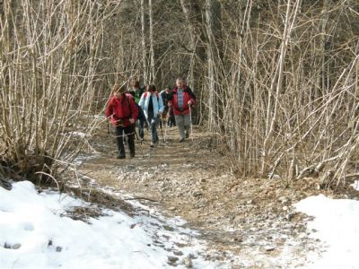 Kliknite za ogled večje slike