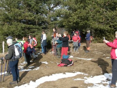 Kliknite za ogled večje slike