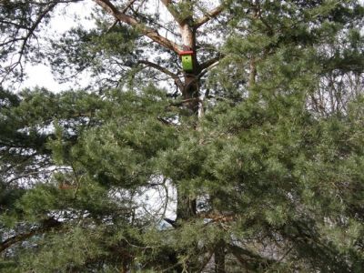 Kliknite za ogled večje slike