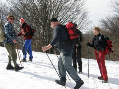 Kliknite za ogled večje slike
