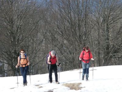 Kliknite za ogled večje slike