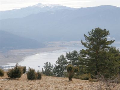 Kliknite za ogled večje slike