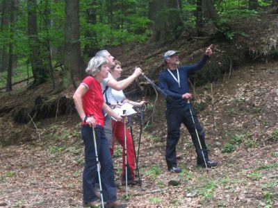 Kliknite za ogled večje slike