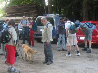 Kliknite za ogled večje slike