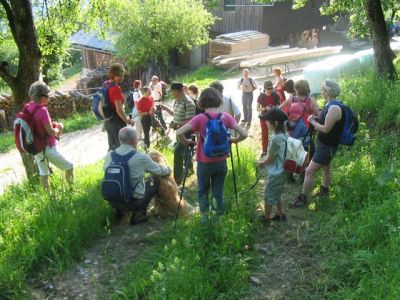 Kliknite za ogled večje slike