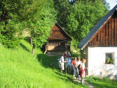 Kliknite za ogled večje slike