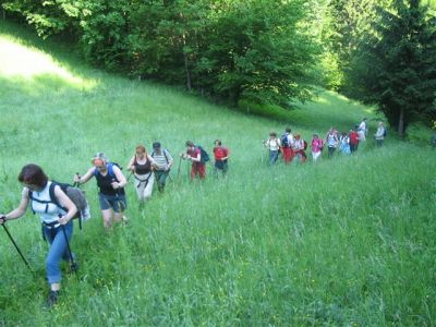 Kliknite za ogled večje slike