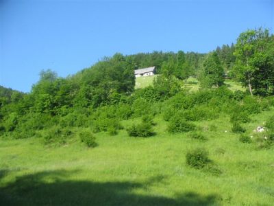 Kliknite za ogled večje slike