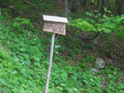 Kliknite za ogled večje slike