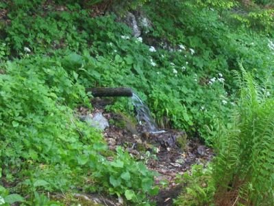 Kliknite za ogled večje slike