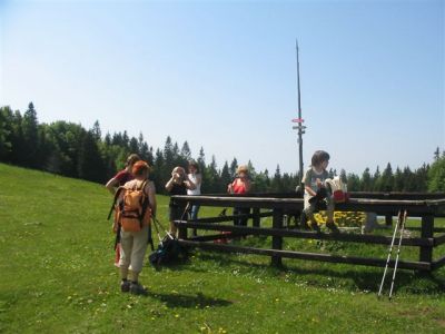 Kliknite za ogled večje slike