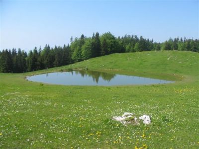Kliknite za ogled večje slike