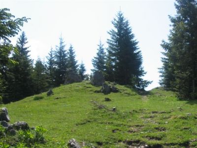 Kliknite za ogled večje slike