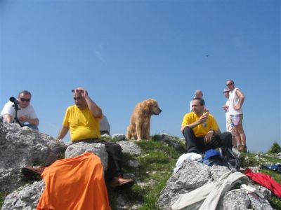 Kliknite za ogled večje slike