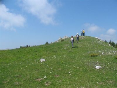 Kliknite za ogled večje slike