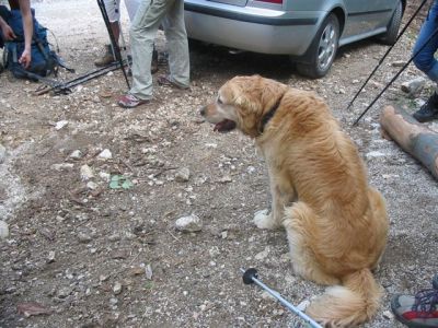 Kliknite za ogled večje slike