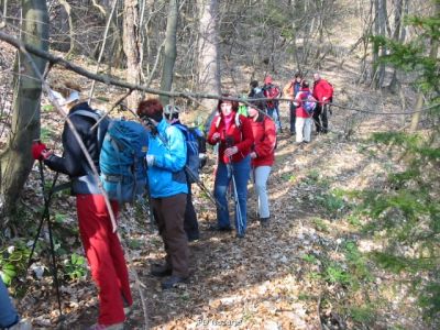 Kliknite za ogled večje slike
