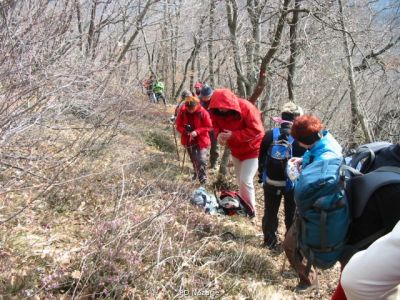 Kliknite za ogled večje slike