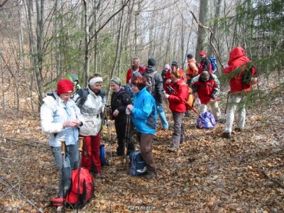Kliknite za ogled večje slike