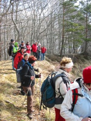 Kliknite za ogled večje slike