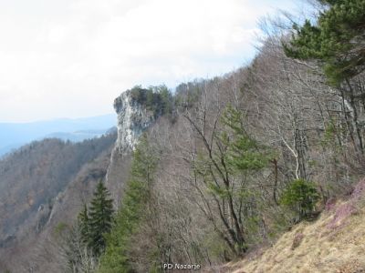 Kliknite za ogled večje slike