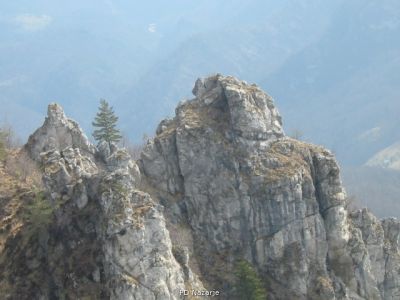 Kliknite za ogled večje slike