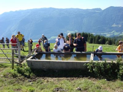 Kliknite za ogled večje slike