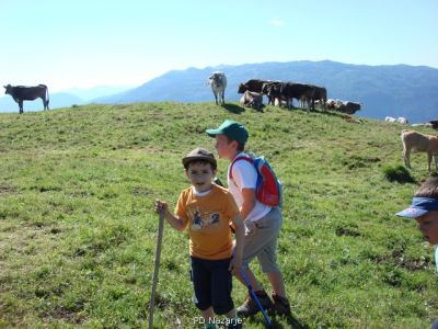 Kliknite za ogled večje slike