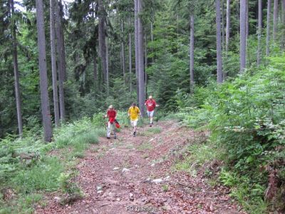 Kliknite za ogled večje slike
