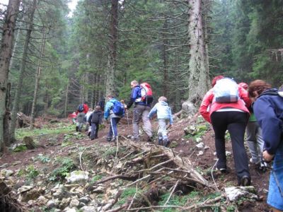 Kliknite za ogled večje slike