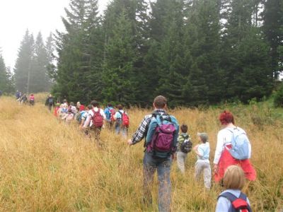 Kliknite za ogled večje slike