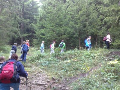 Kliknite za ogled večje slike