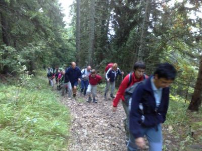 Kliknite za ogled večje slike