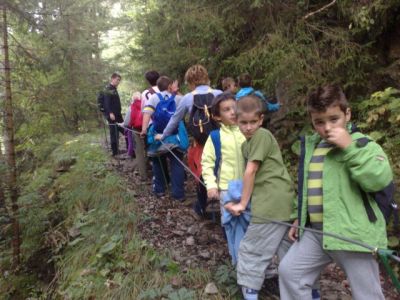 Kliknite za ogled večje slike