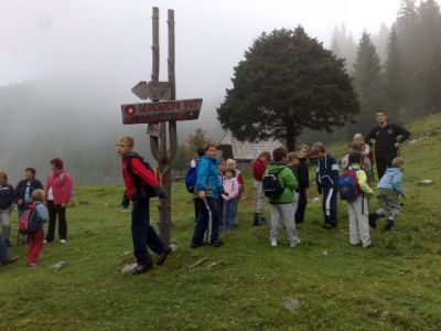 Kliknite za ogled večje slike