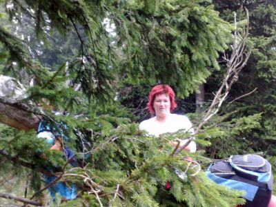 Kliknite za ogled večje slike