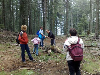 Kliknite za ogled večje slike