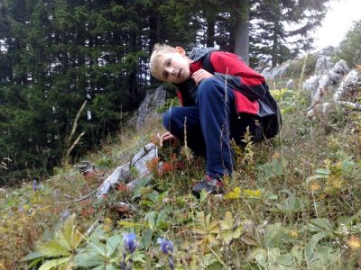 Kliknite za ogled večje slike