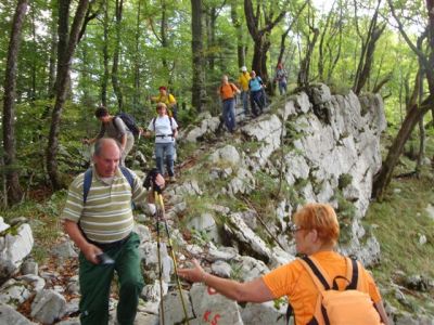 Kliknite za ogled večje slike