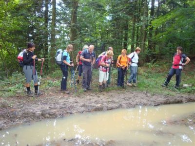 Kliknite za ogled večje slike