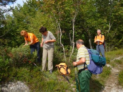 Kliknite za ogled večje slike