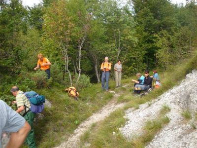 Kliknite za ogled večje slike