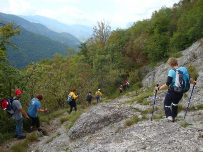 Kliknite za ogled večje slike