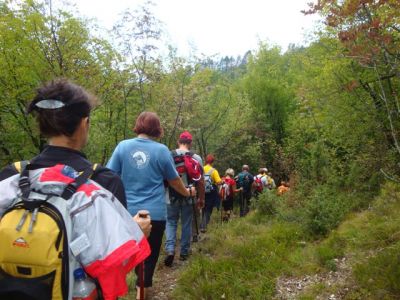Kliknite za ogled večje slike