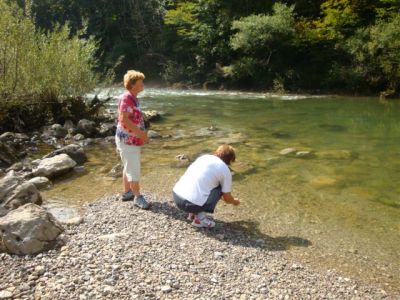 Kliknite za ogled večje slike