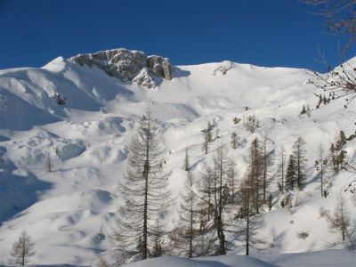 Kliknite za ogled večje slike