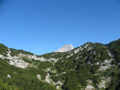 Kliknite za ogled večje slike