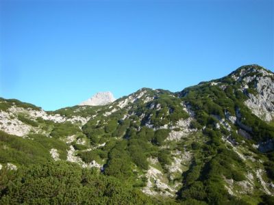 Kliknite za ogled večje slike